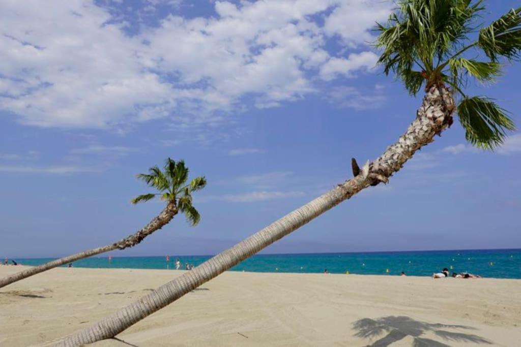 A 500 M De La Plage, Tout Confort Avec Wifi Le Barcarès Exterior foto